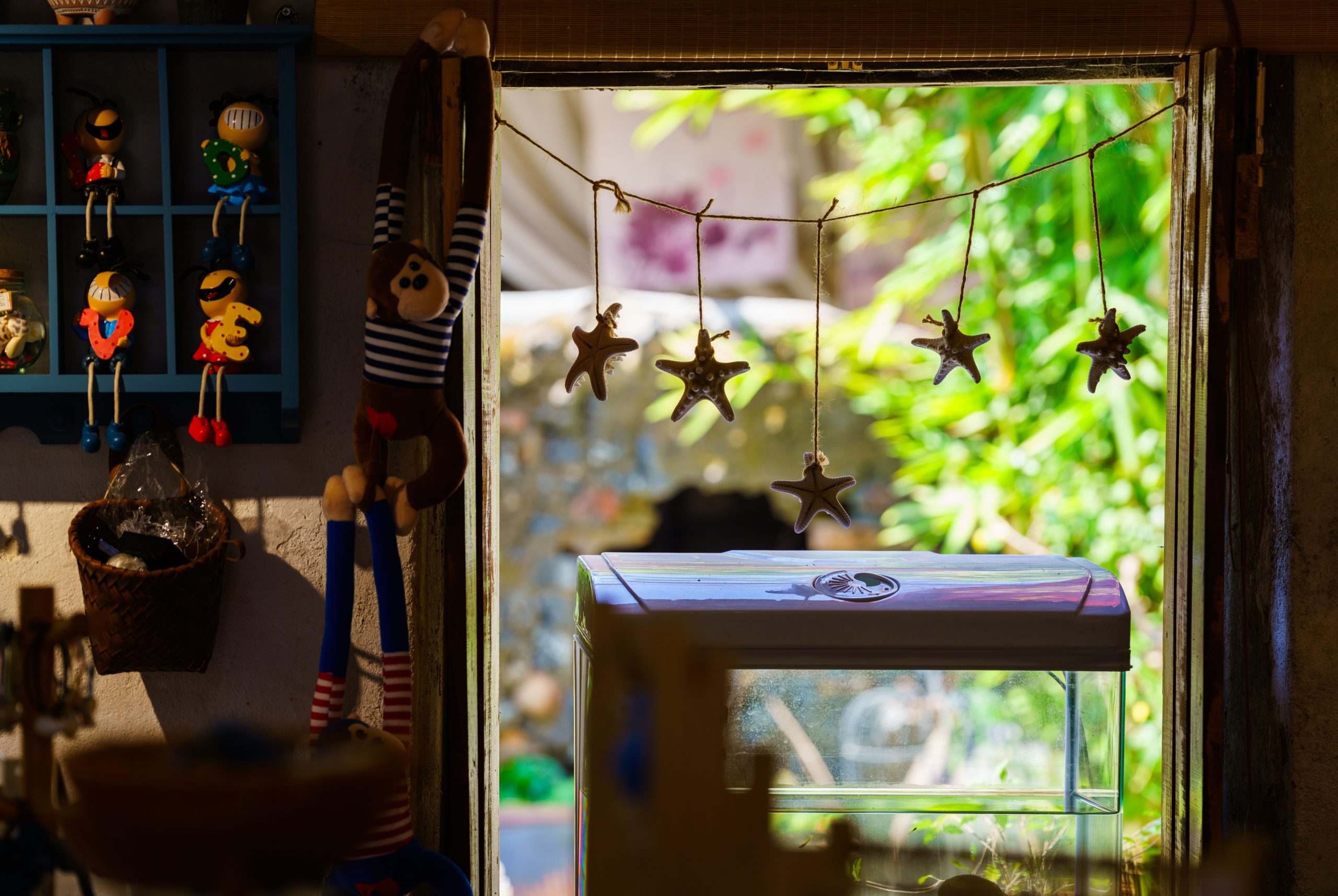 Étoile de mer décoration - Conseils d'intégration