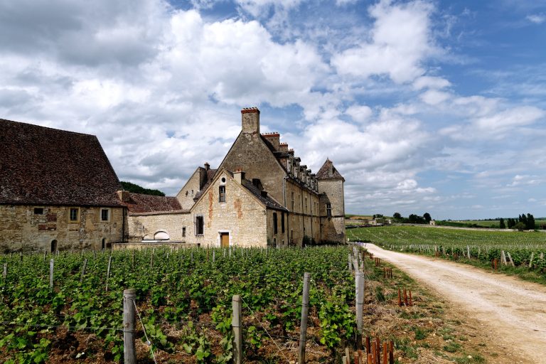 Château de Vougeot entouré de vignobles bourguignons luxuriants