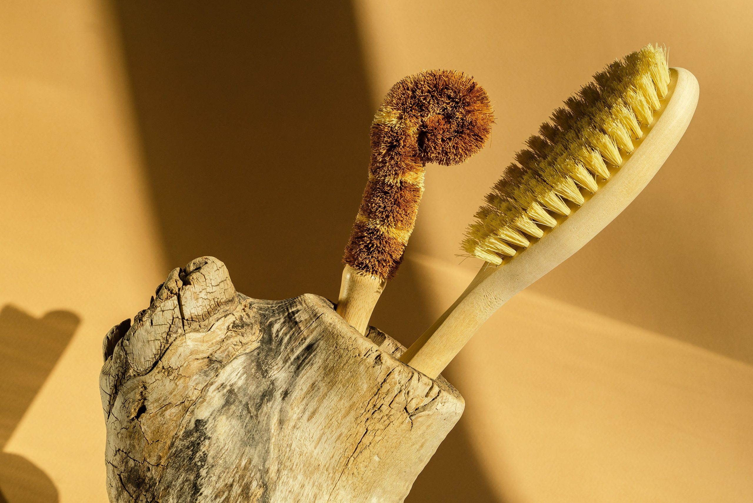 Brosses écologiques minimalistes en support bois flotté.
